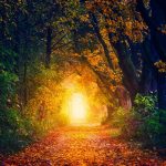 Julie Sina : de l’ouverture du cœur à la fusion avec le Tout