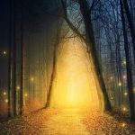 Cécilia de Caniac, un chemin vers la lumière