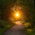 Trouver la paix intérieure en fin de vie : un chemin spirituel quand le temps presse